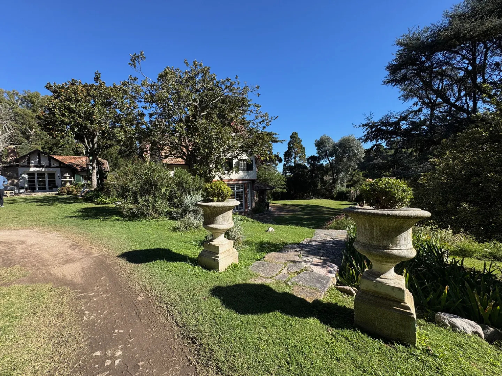 image 38
