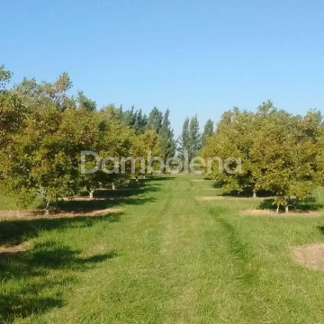 Terreno Venta en Ruta provincial 11