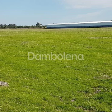 Terreno Venta en Camino de la Costa Brava
