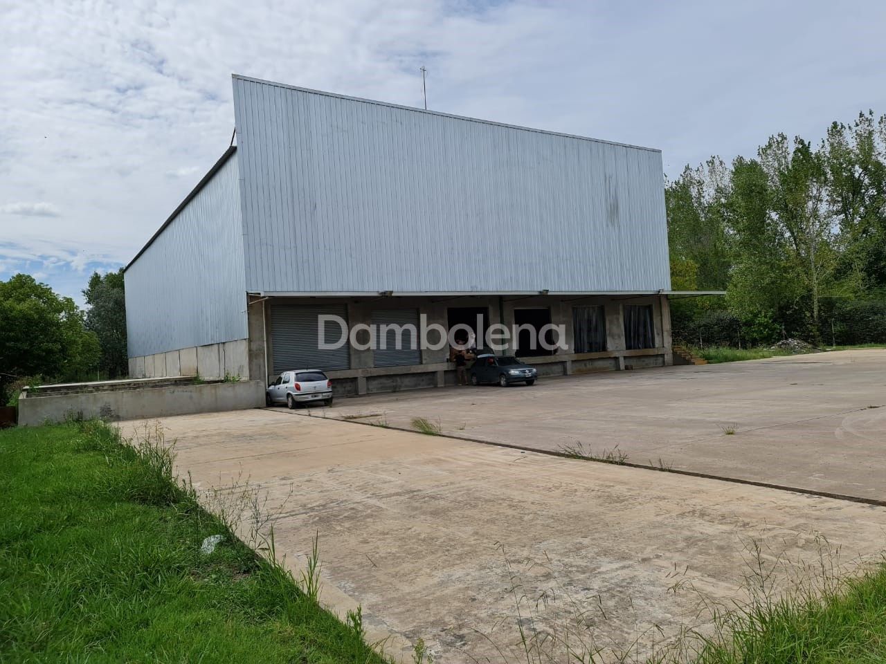 image 4