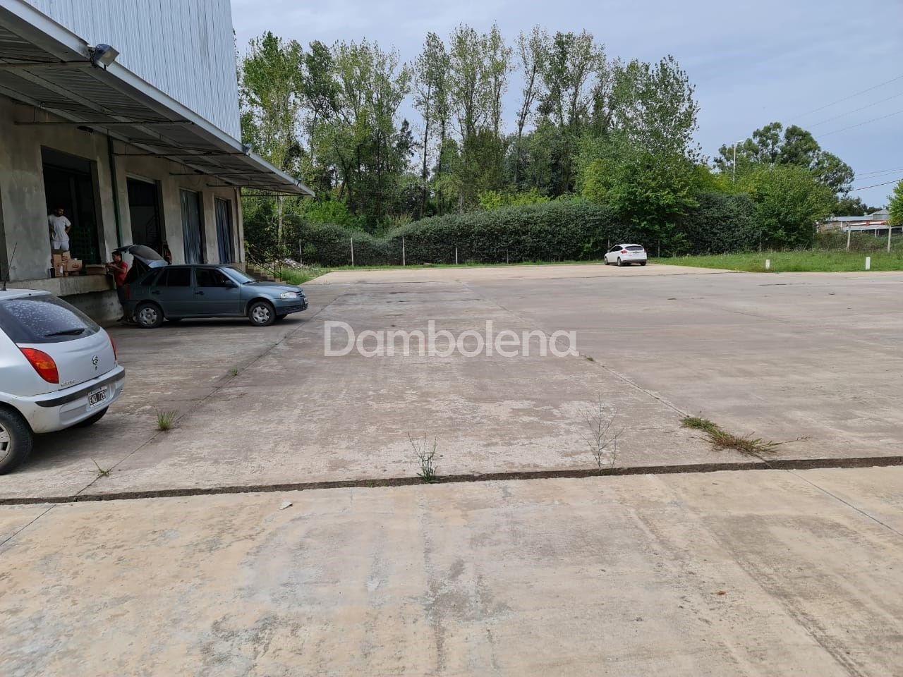 image 10