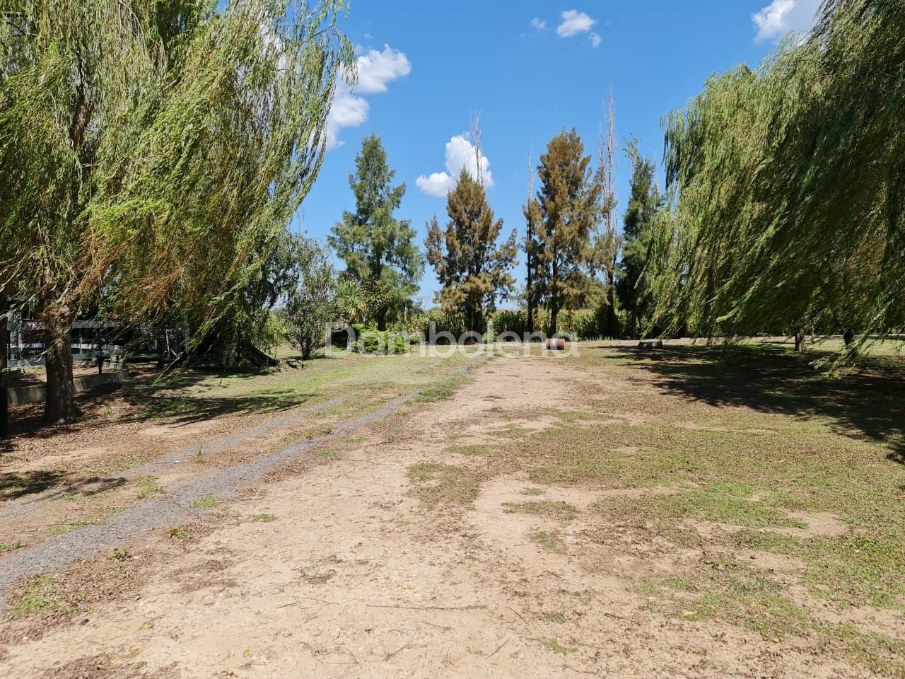 image 47