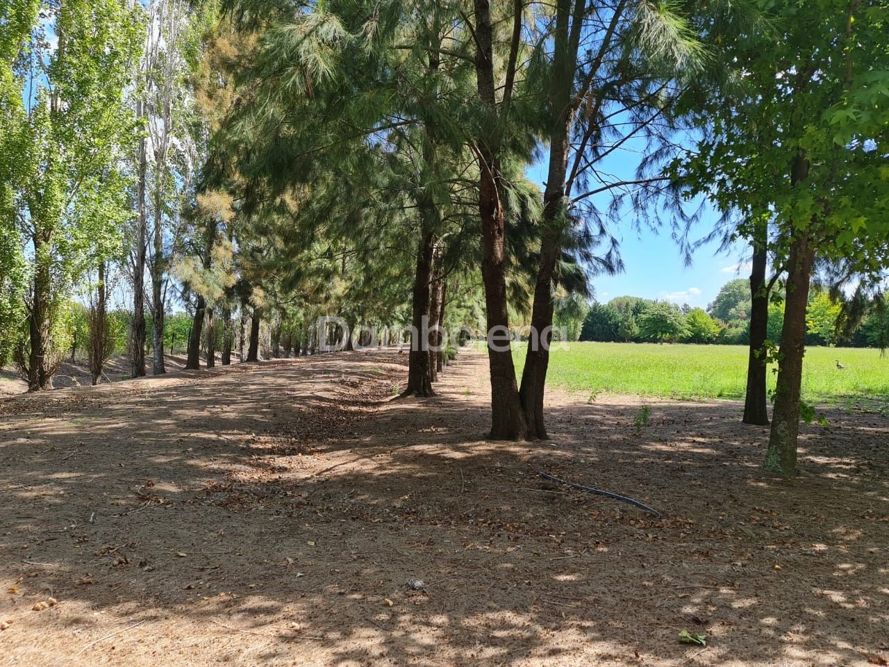 image 50