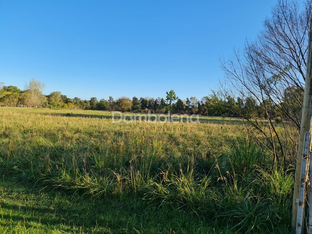 image 14