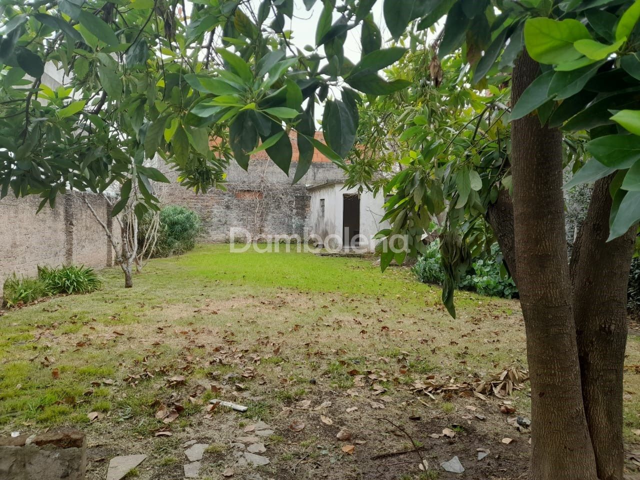 image 13