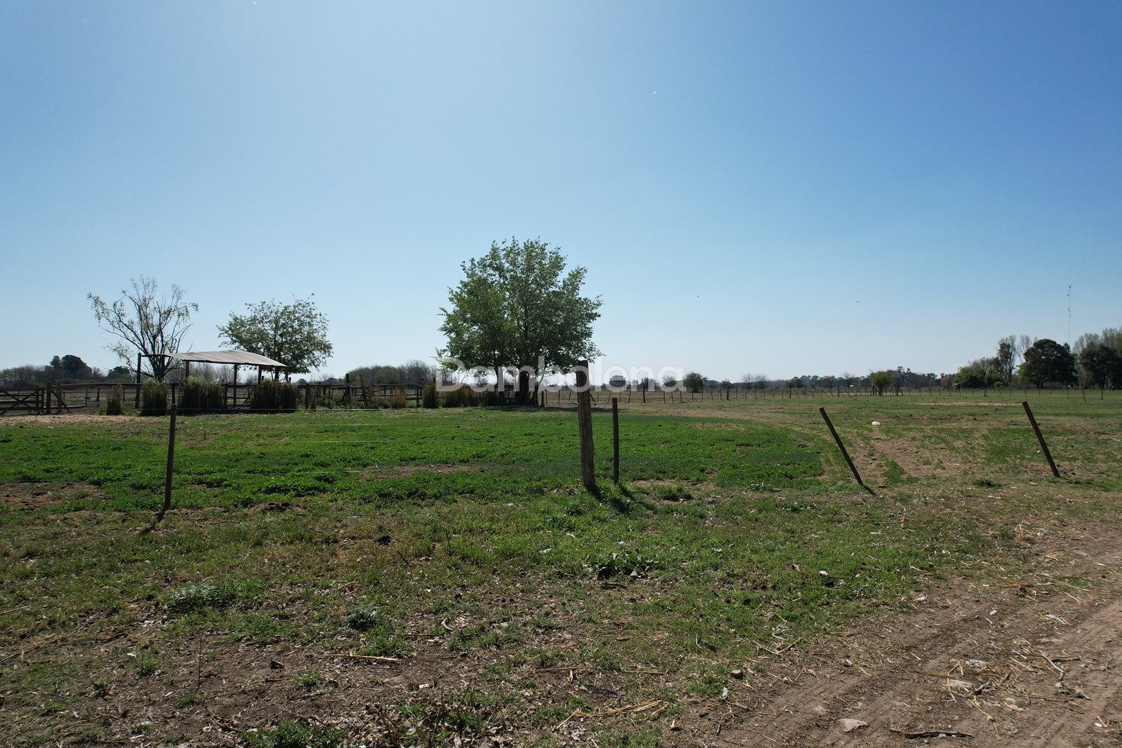 image 61