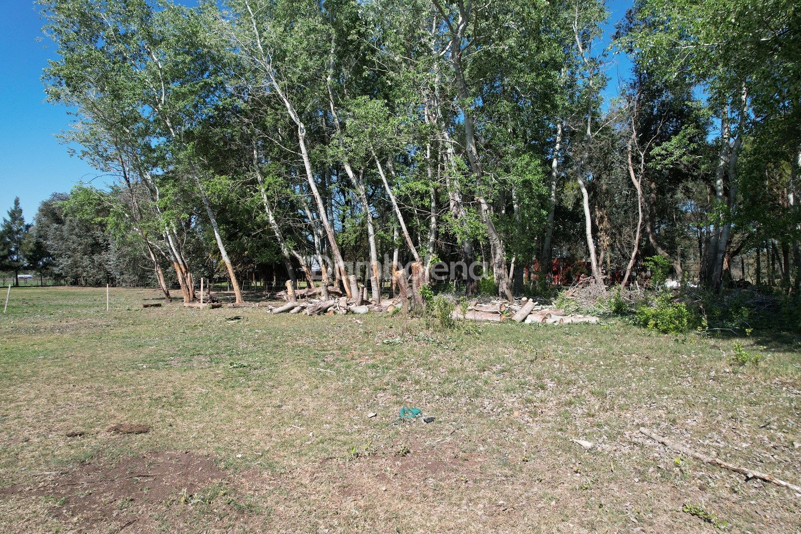 image 63