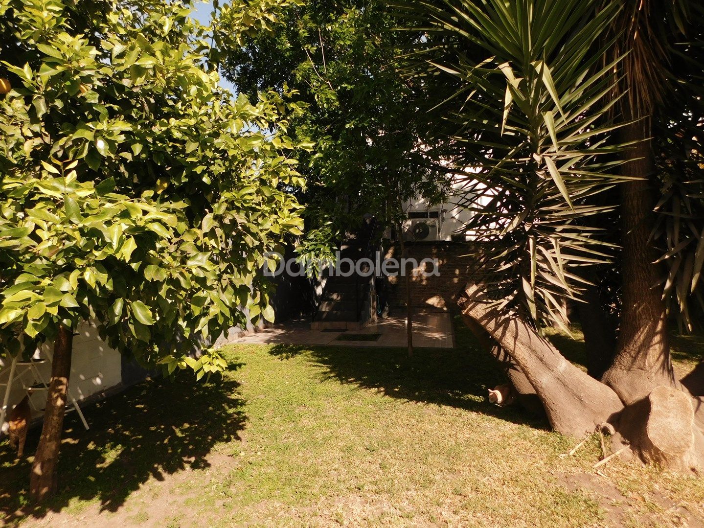image 18