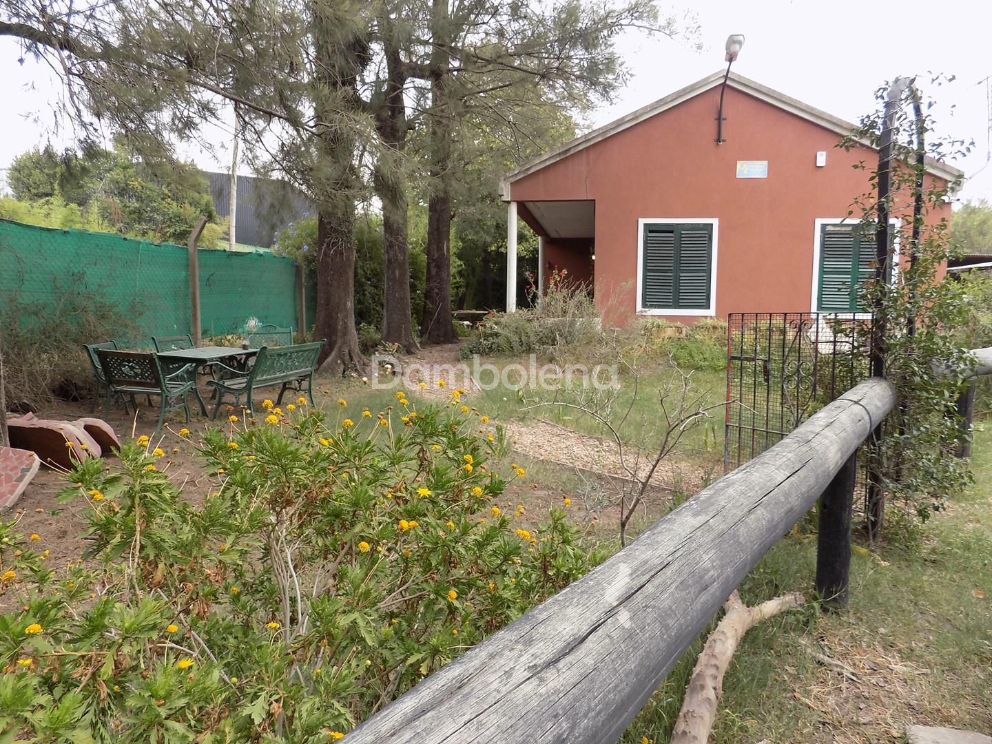 image 51