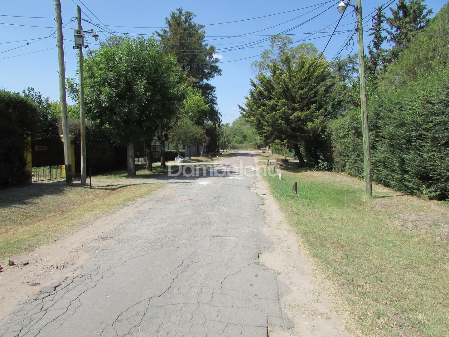 image 38