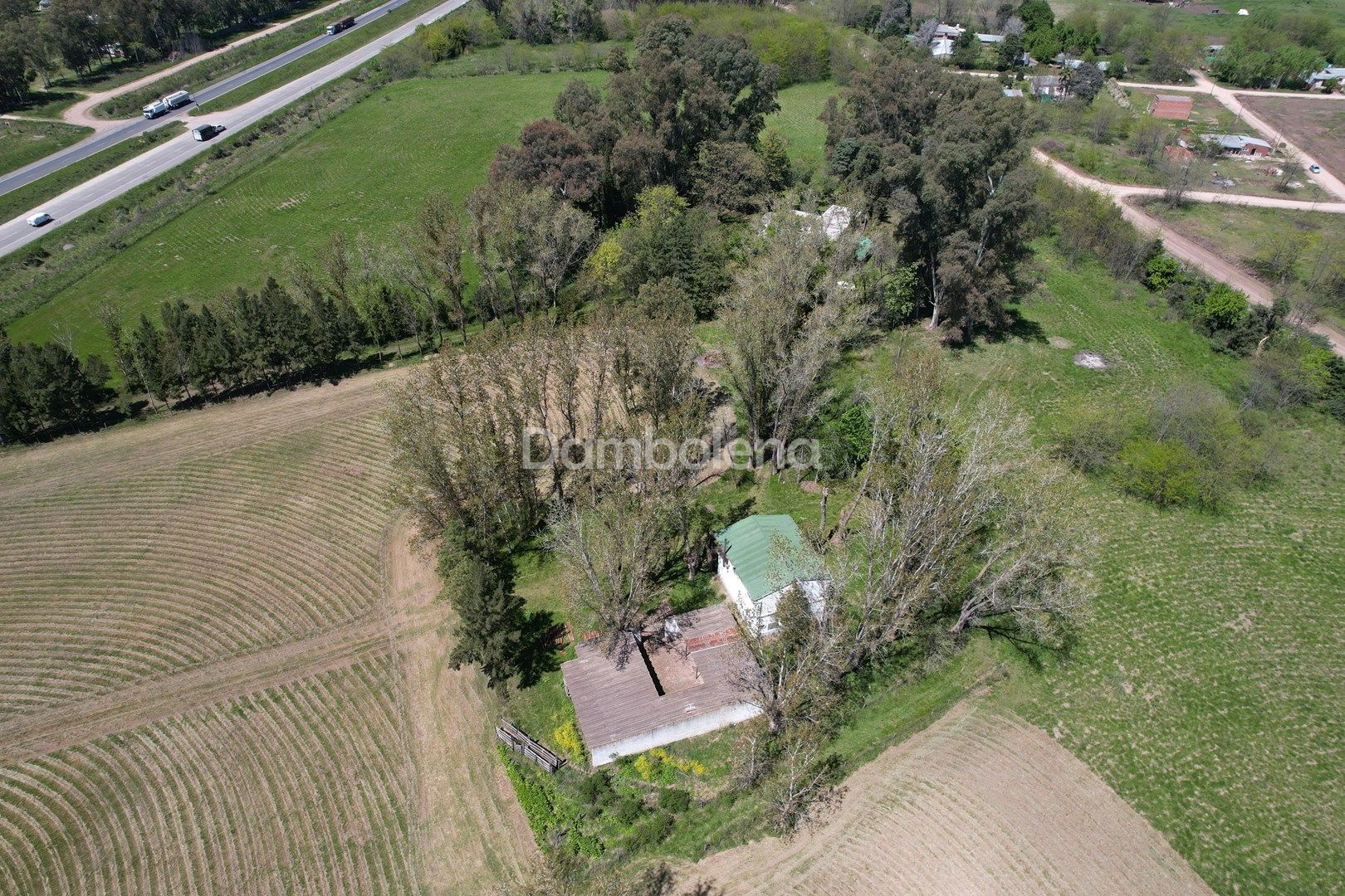 image 6