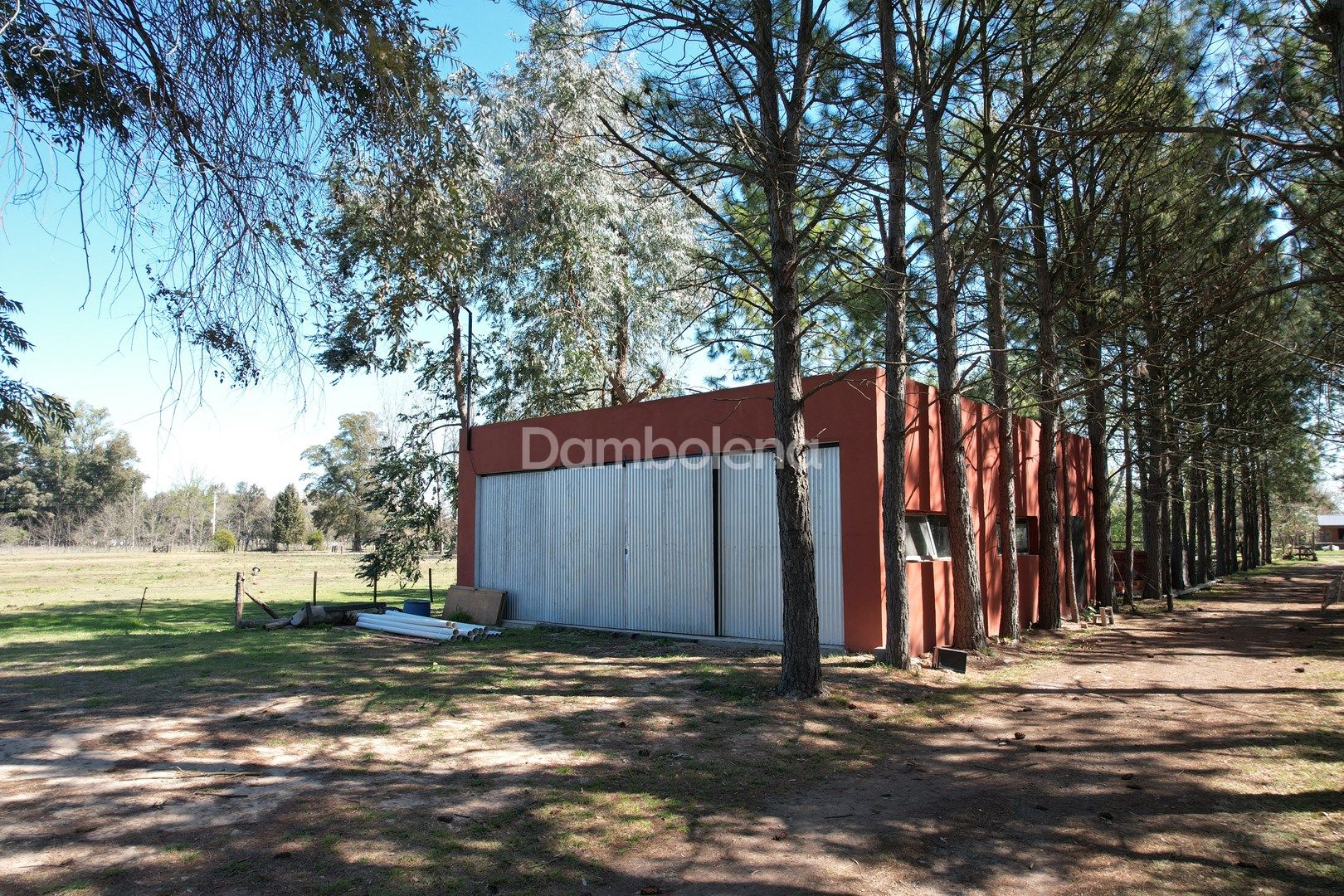 image 12