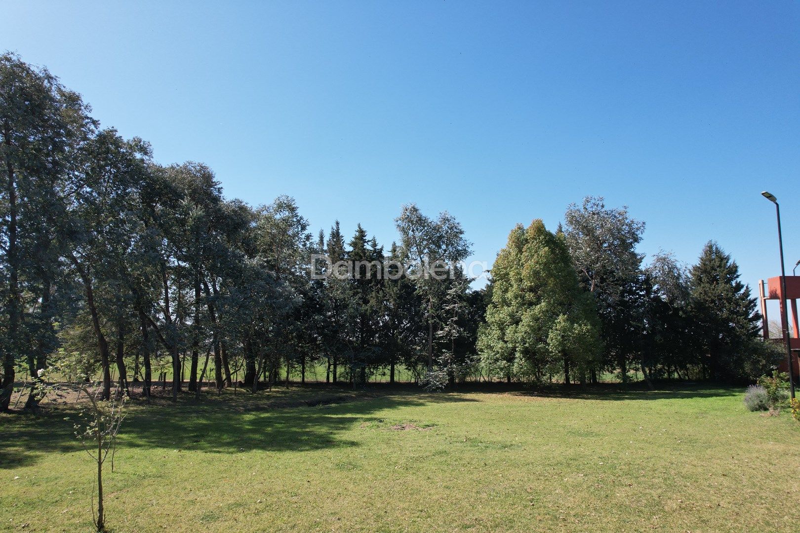 image 13