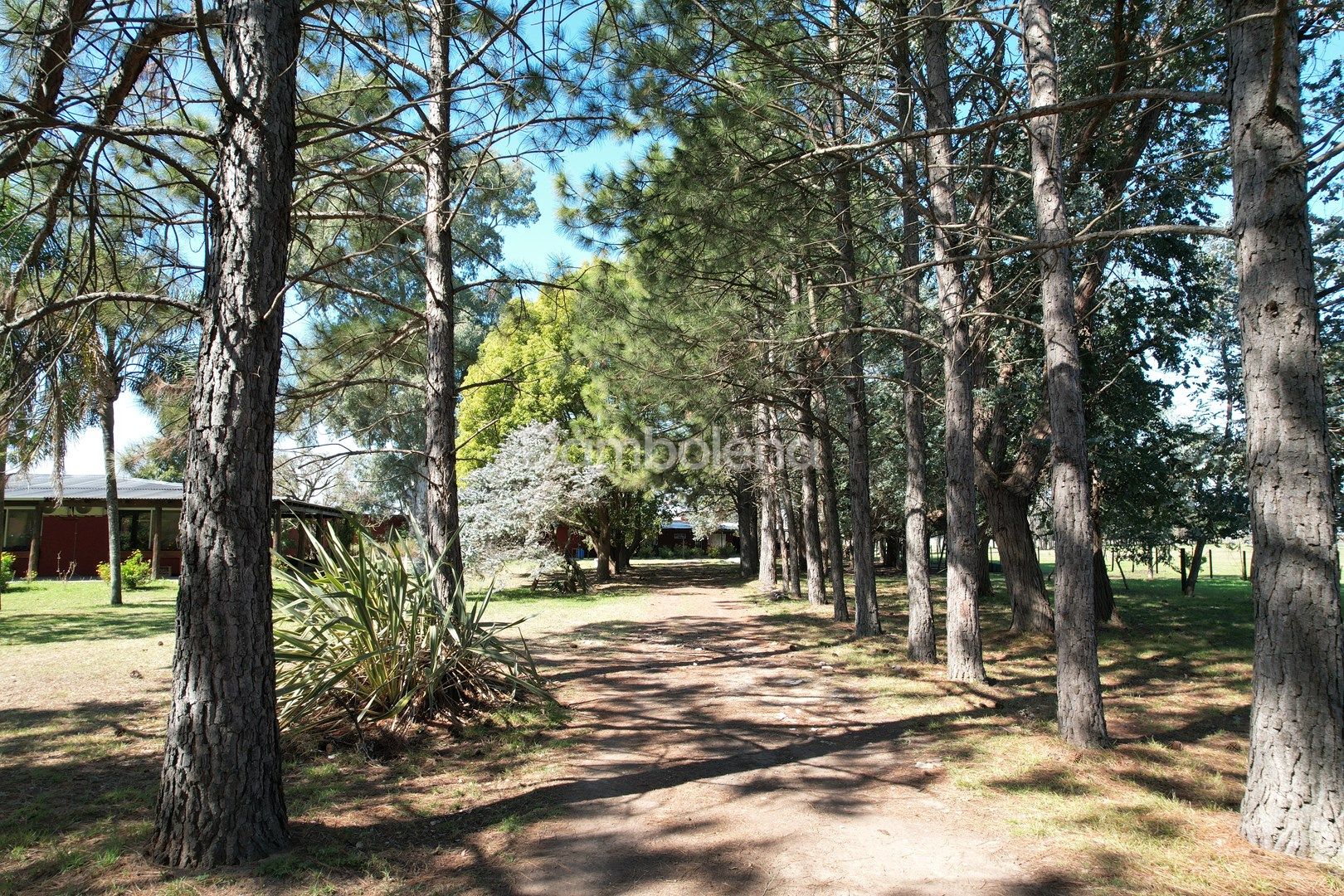 image 14