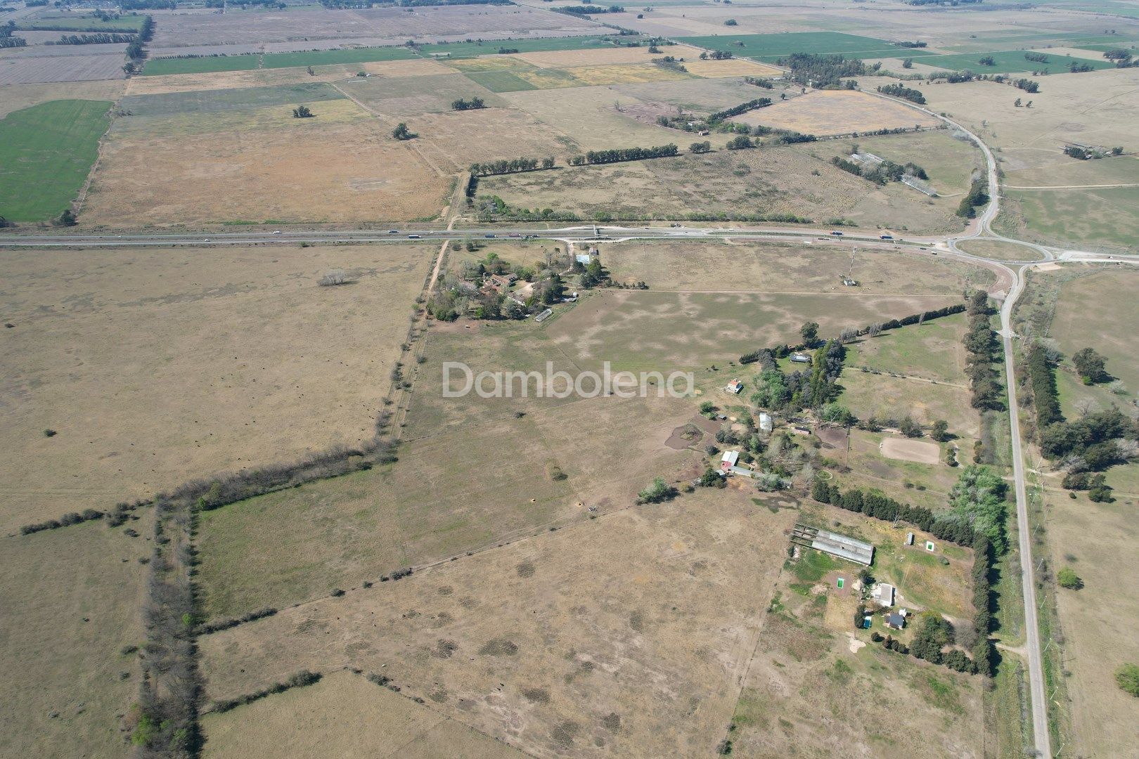 image 39