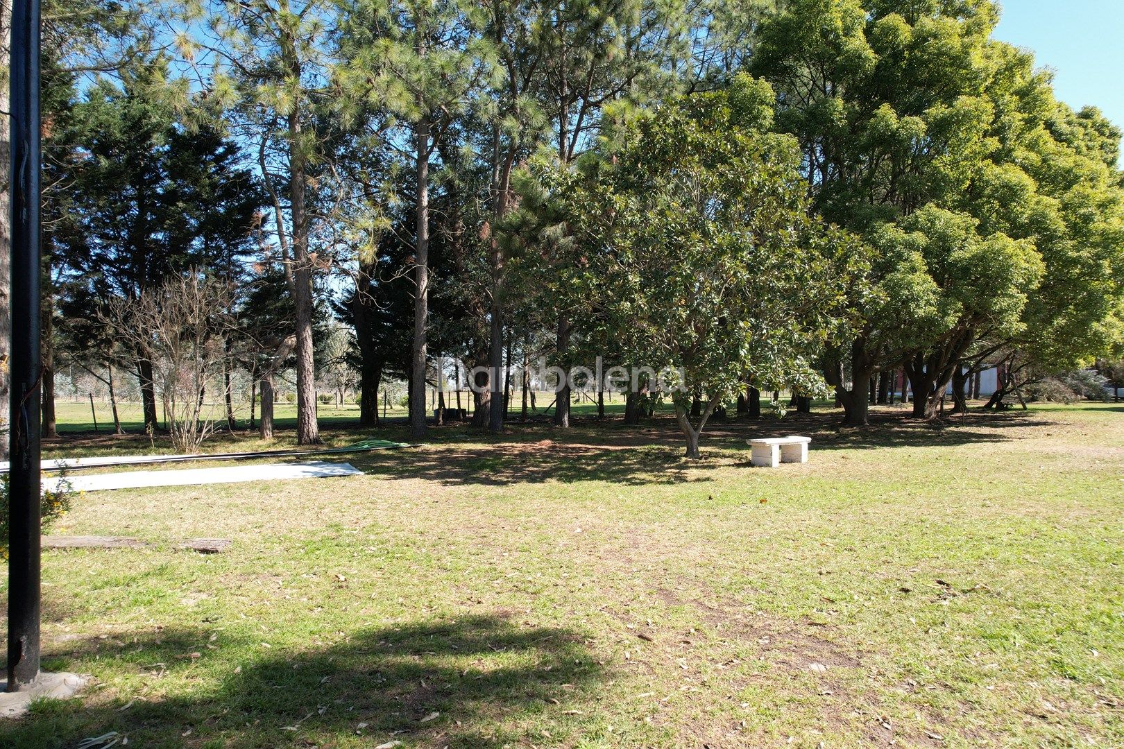 image 46