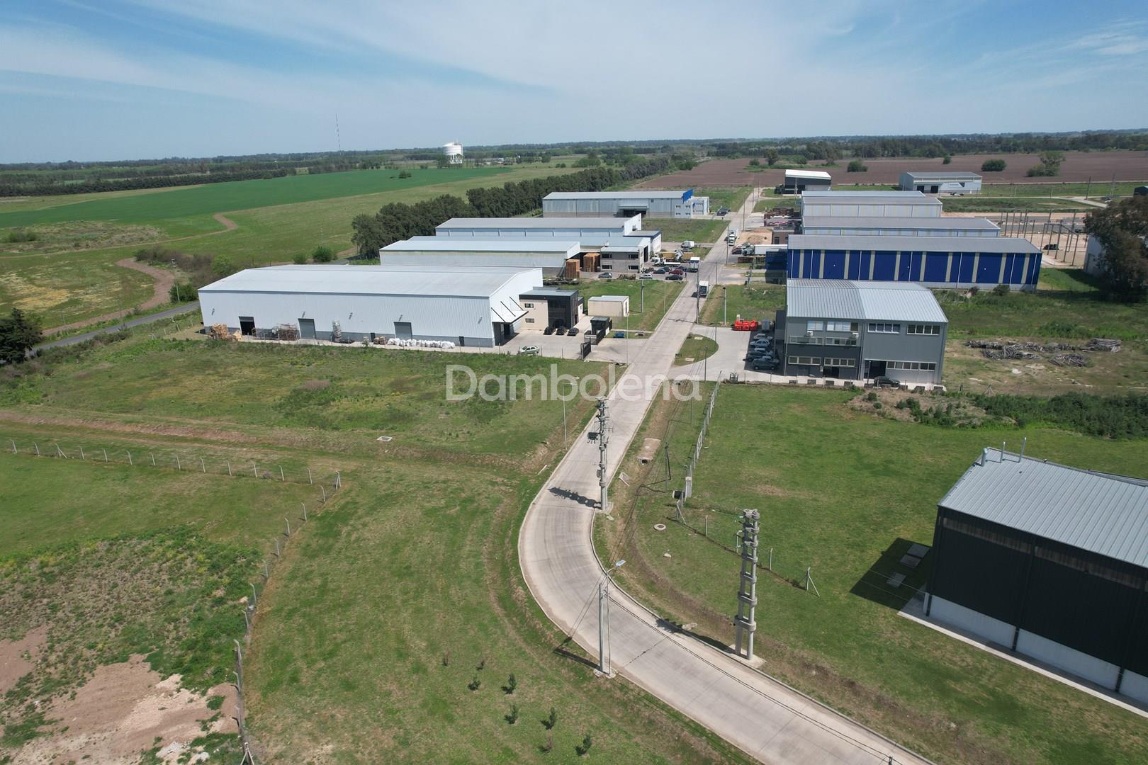 image 15
