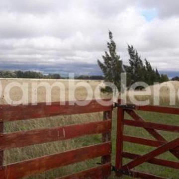 Terreno Venta en Camino provincial secundario 134-01 0