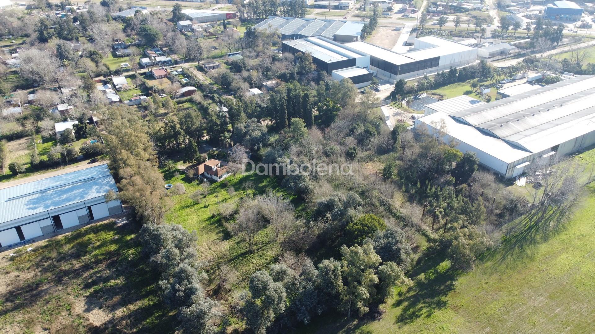 image 6