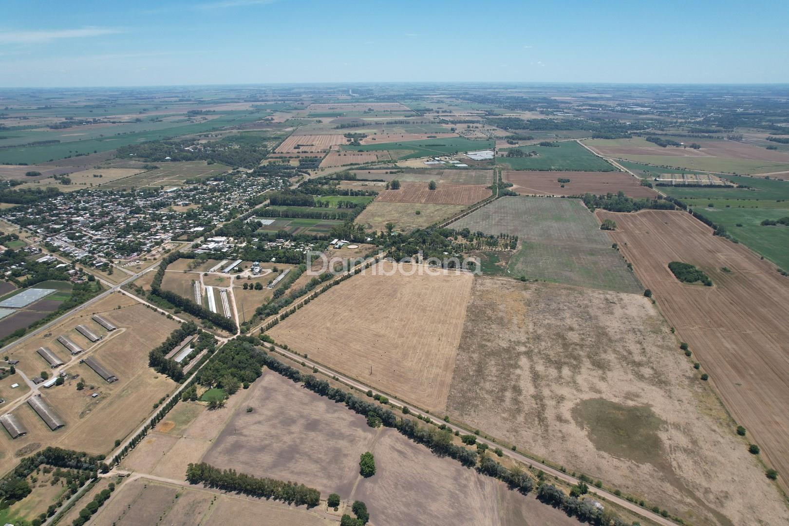 image 13