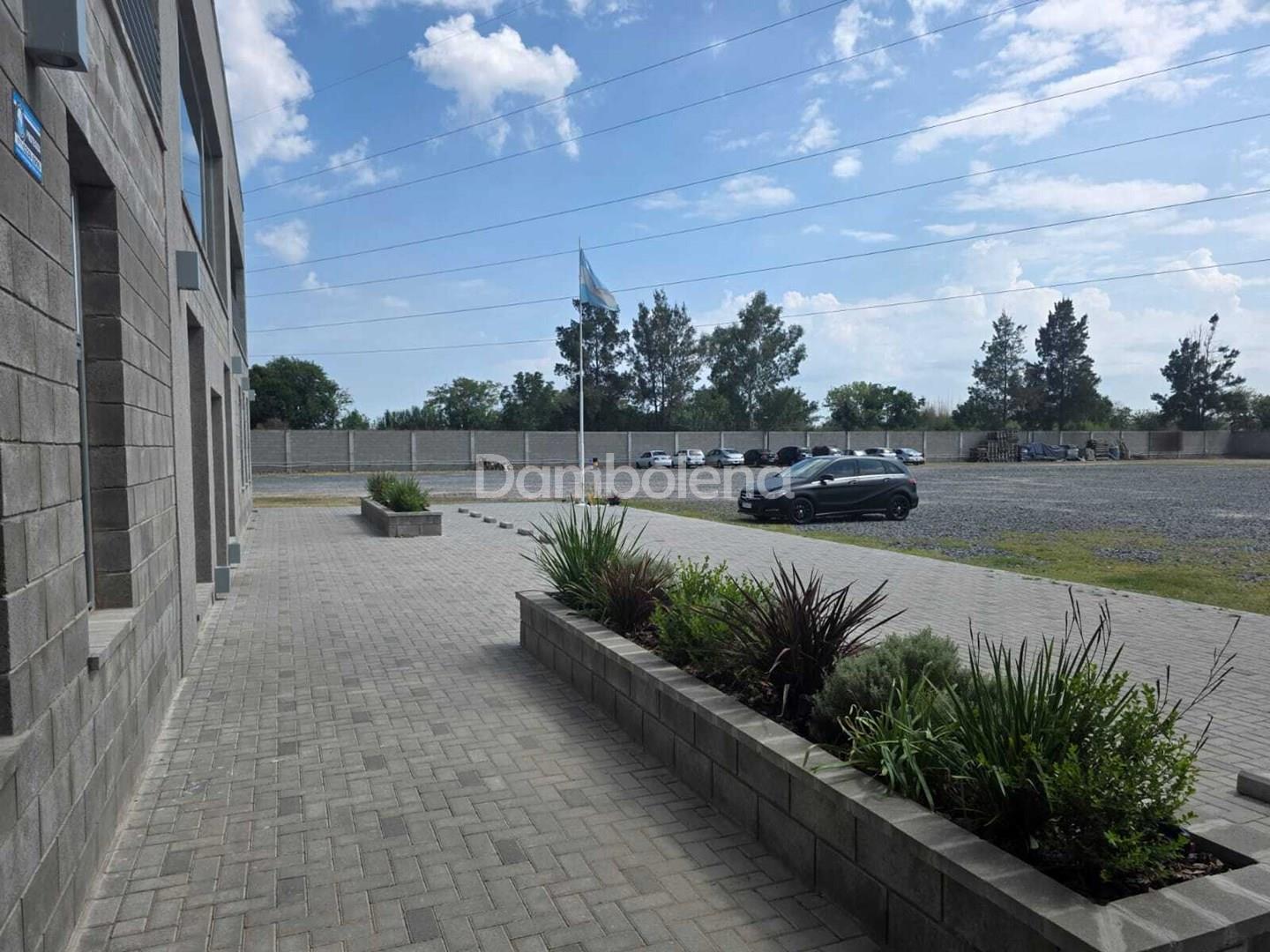 image 19
