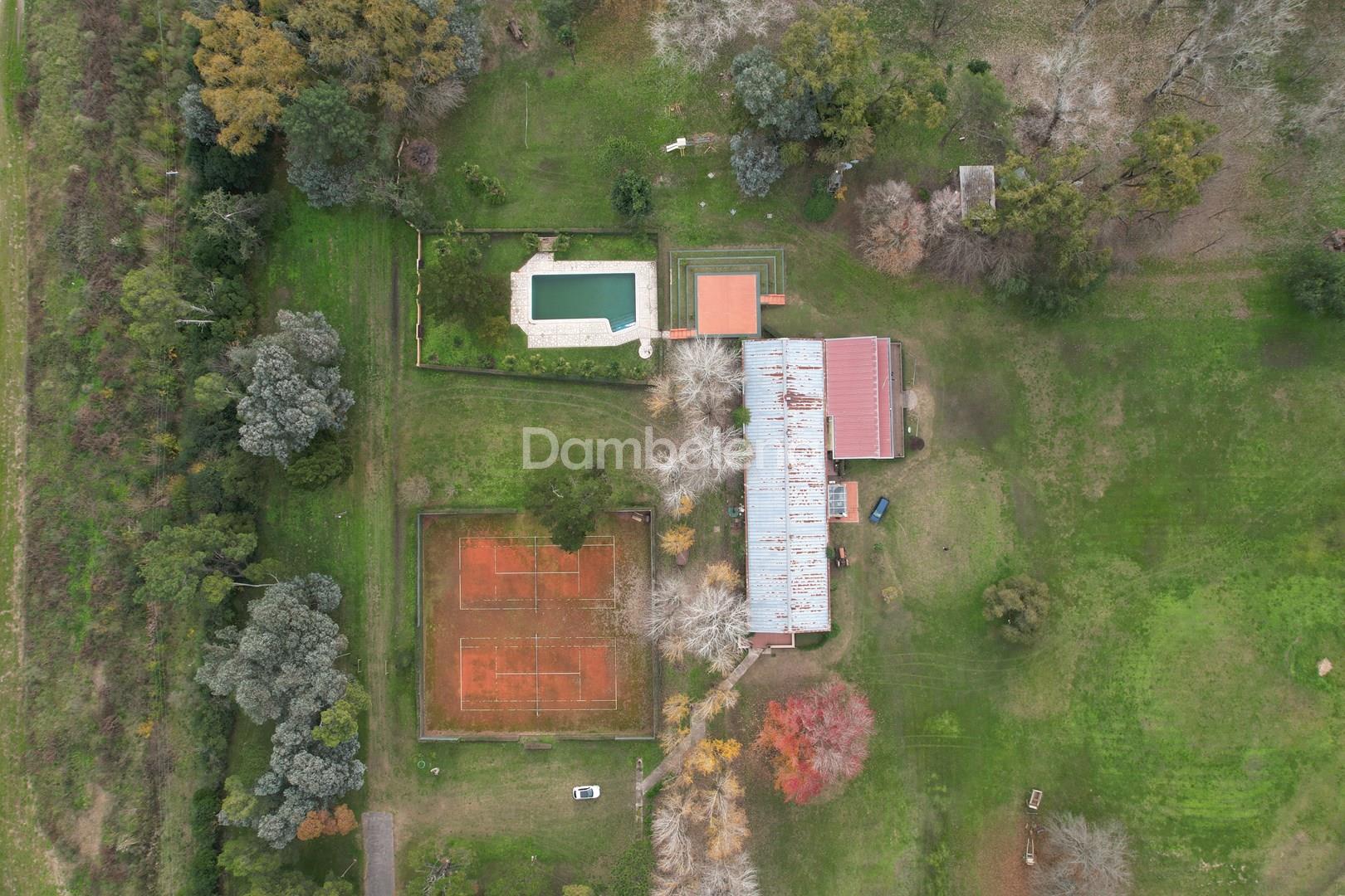 image 13