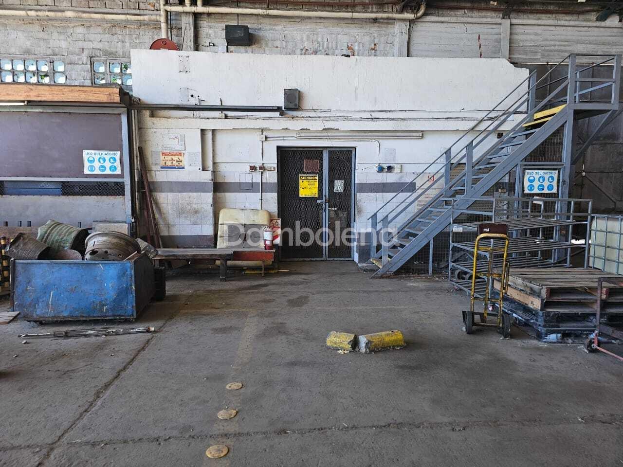 image 19