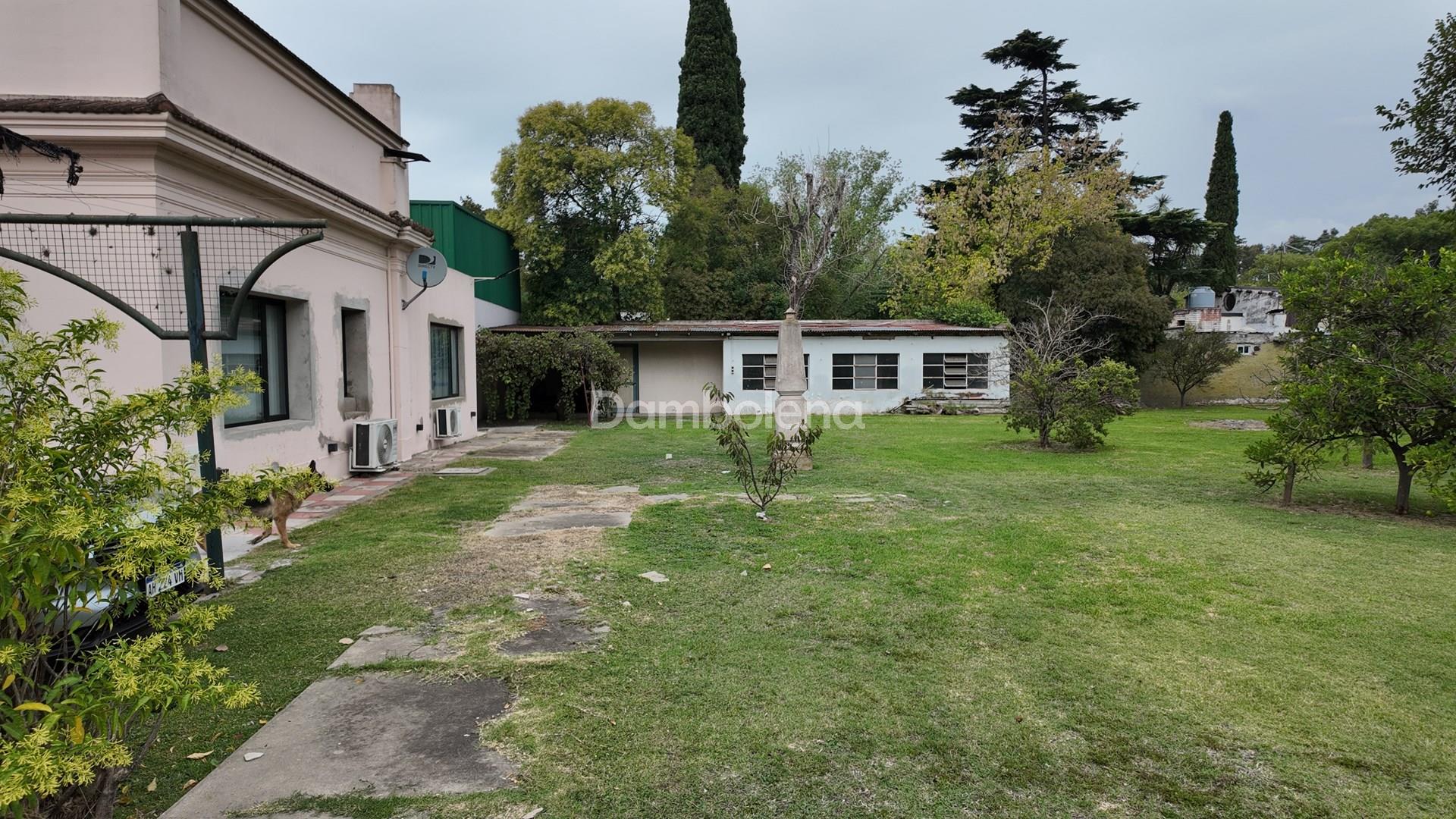 image 39