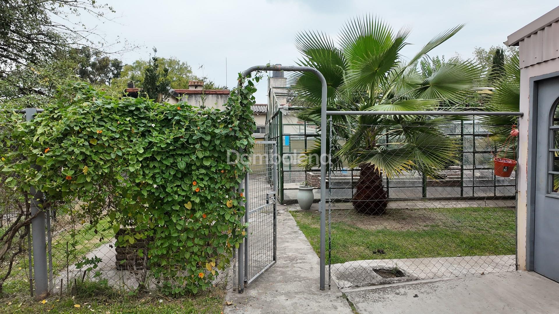 image 176