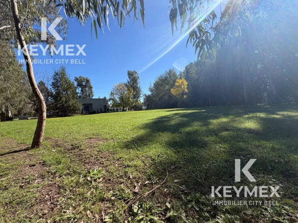 1778155941.jpg