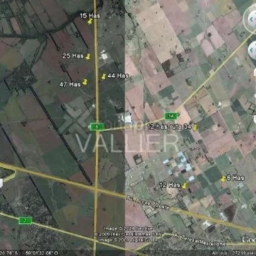 Terreno Venta en Buenos Aires Lujan 12 Has S r 34 0 12300