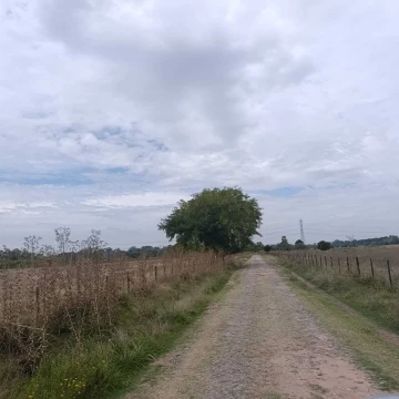 Terreno Venta en 3,5 has
