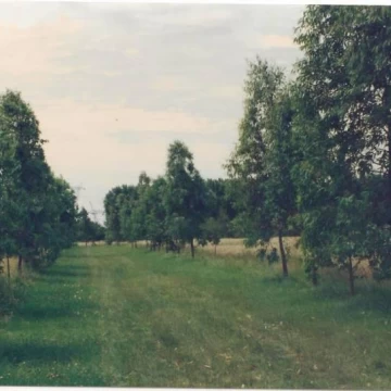 Terreno Venta en 47 Has Fatima, Pilar Km