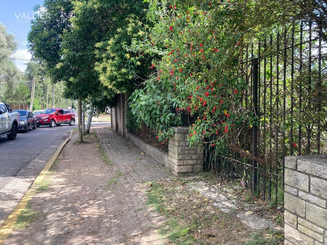 image 14