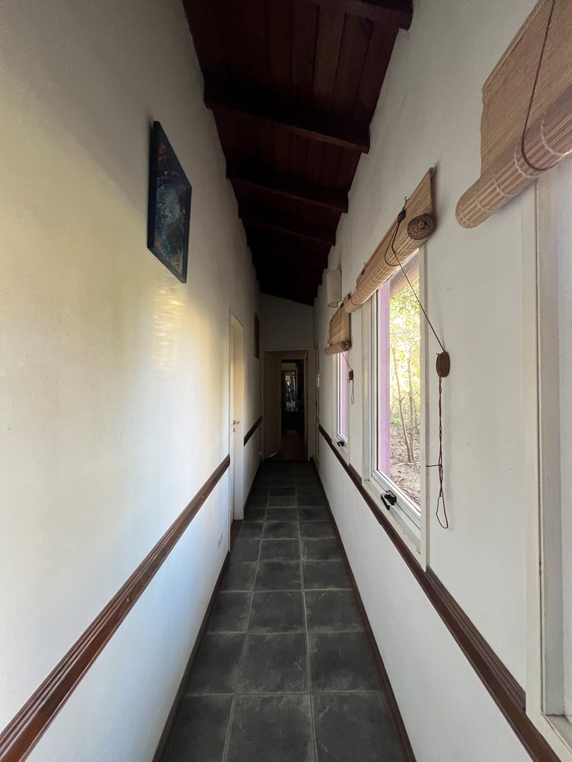 image 39