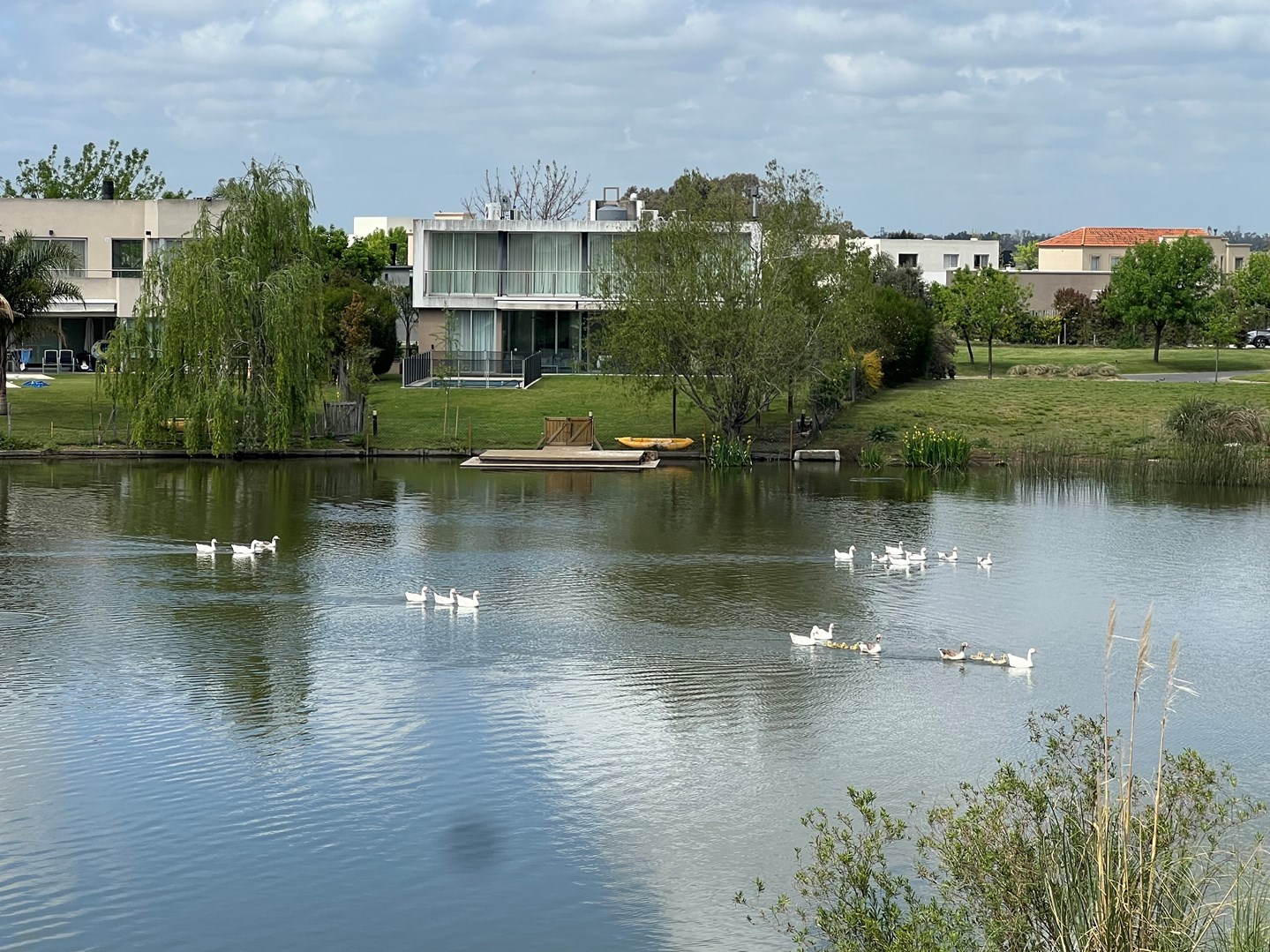 image 49