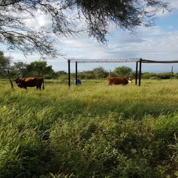 Terreno Venta en 2600 has Chamical, La Rioja Venta de Campo de 2600