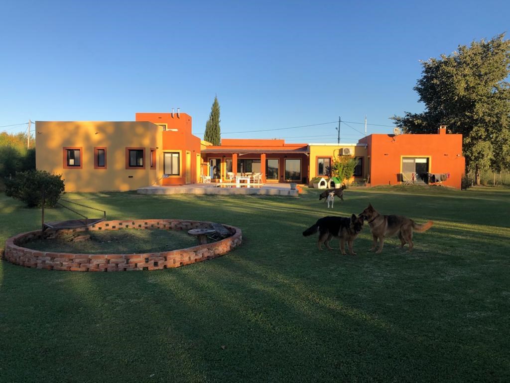 image 30