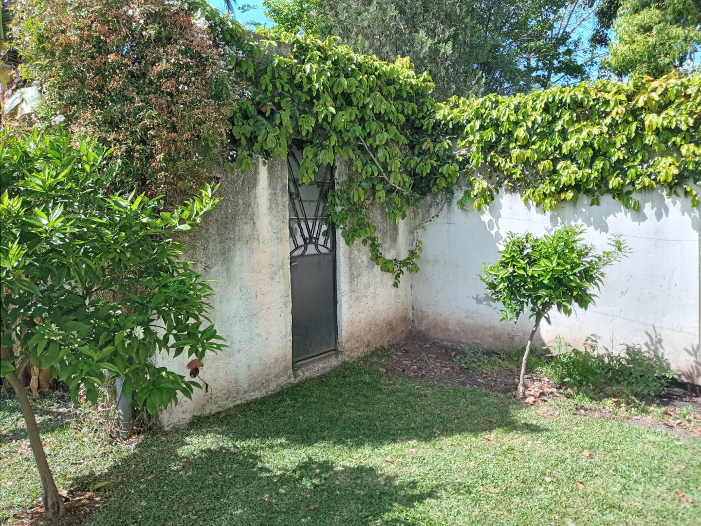image 18