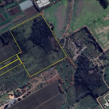 Terreno Venta en 12 has Ruta