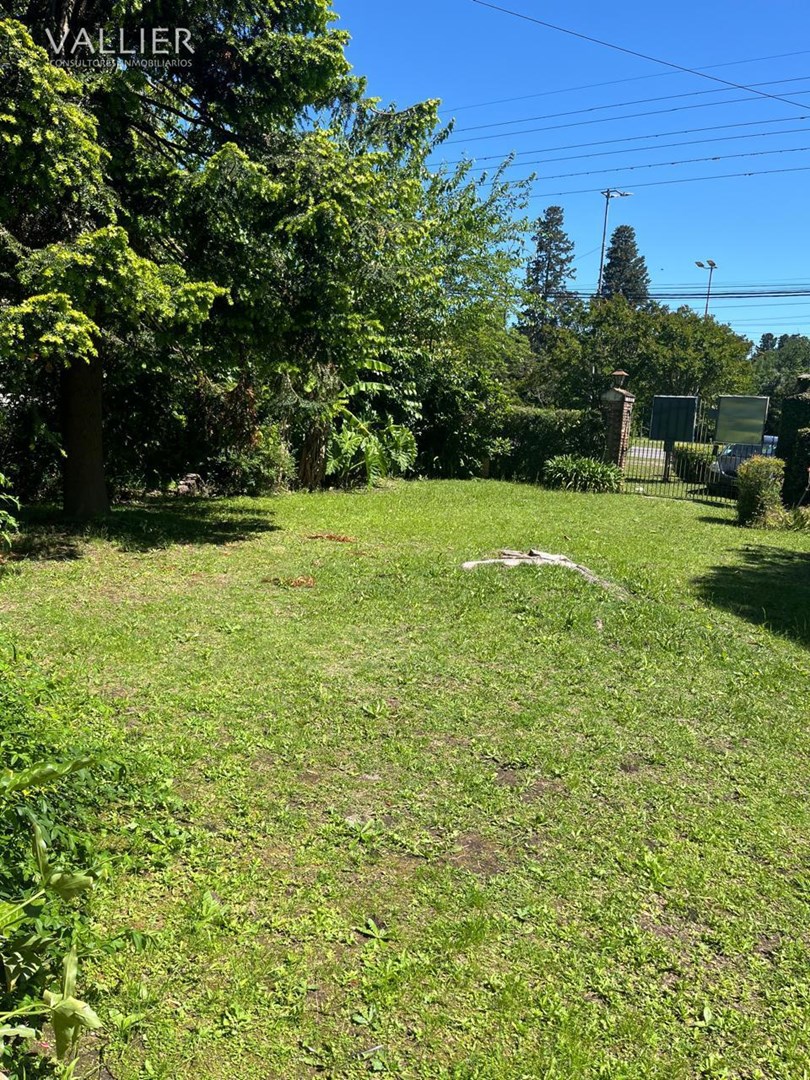 image 25