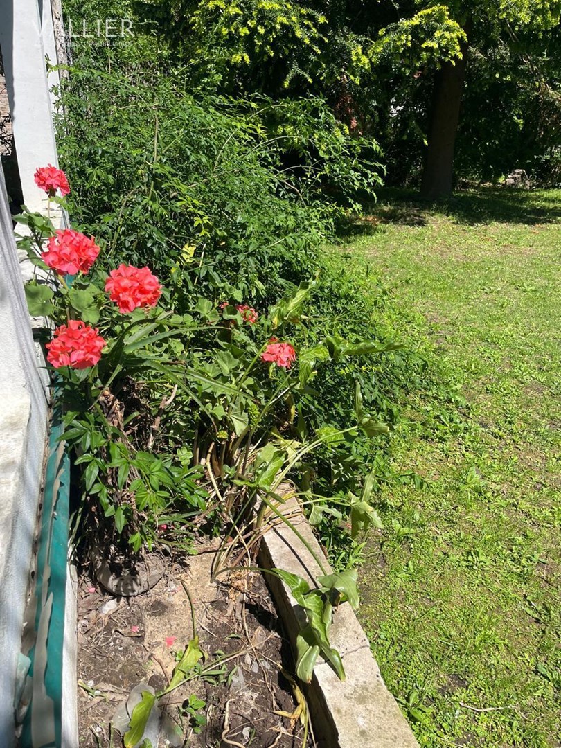 image 26