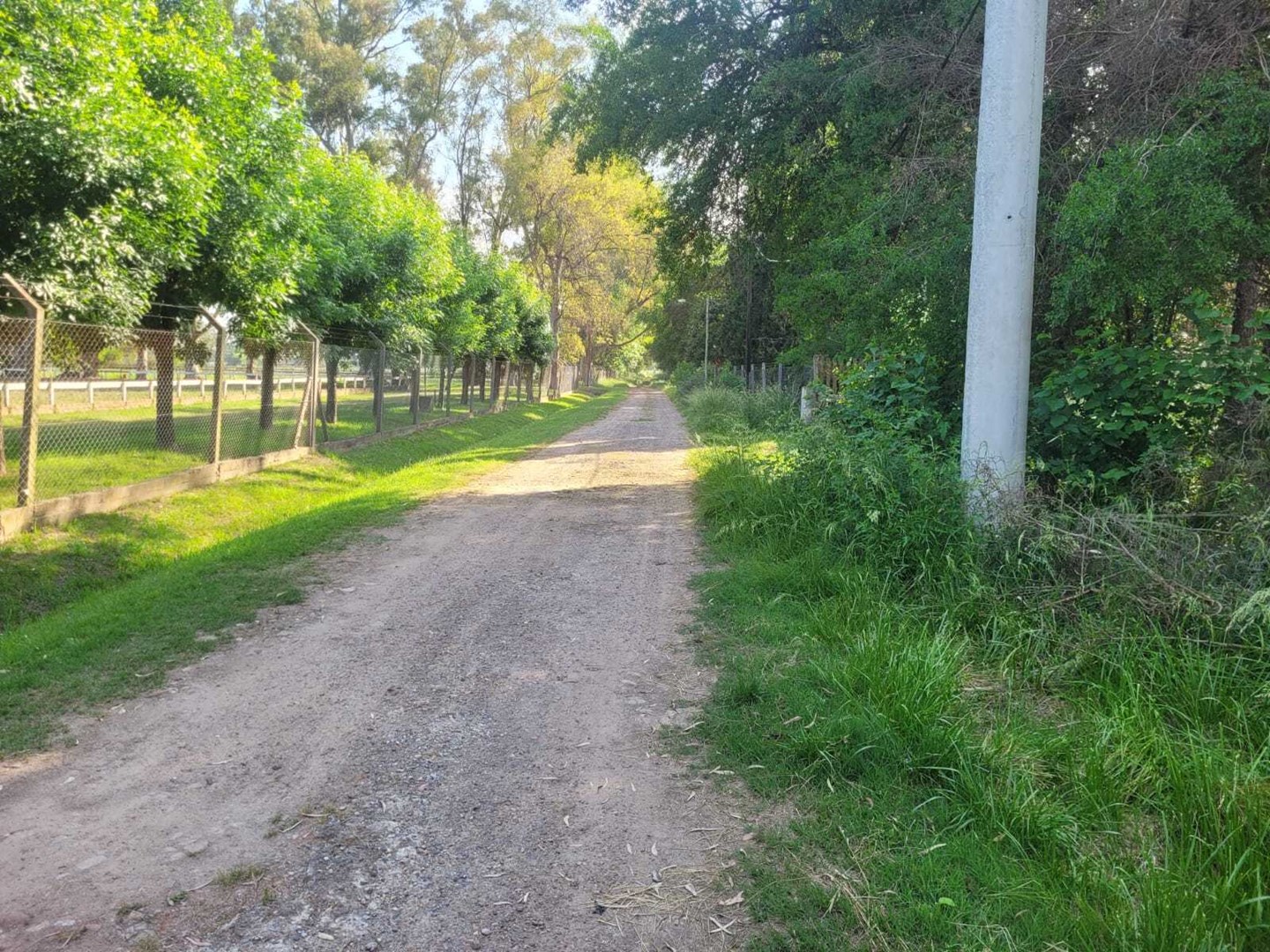 image 14