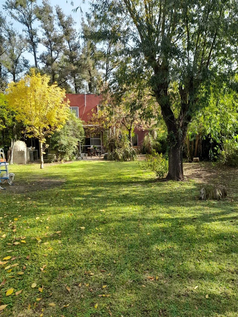 image 14