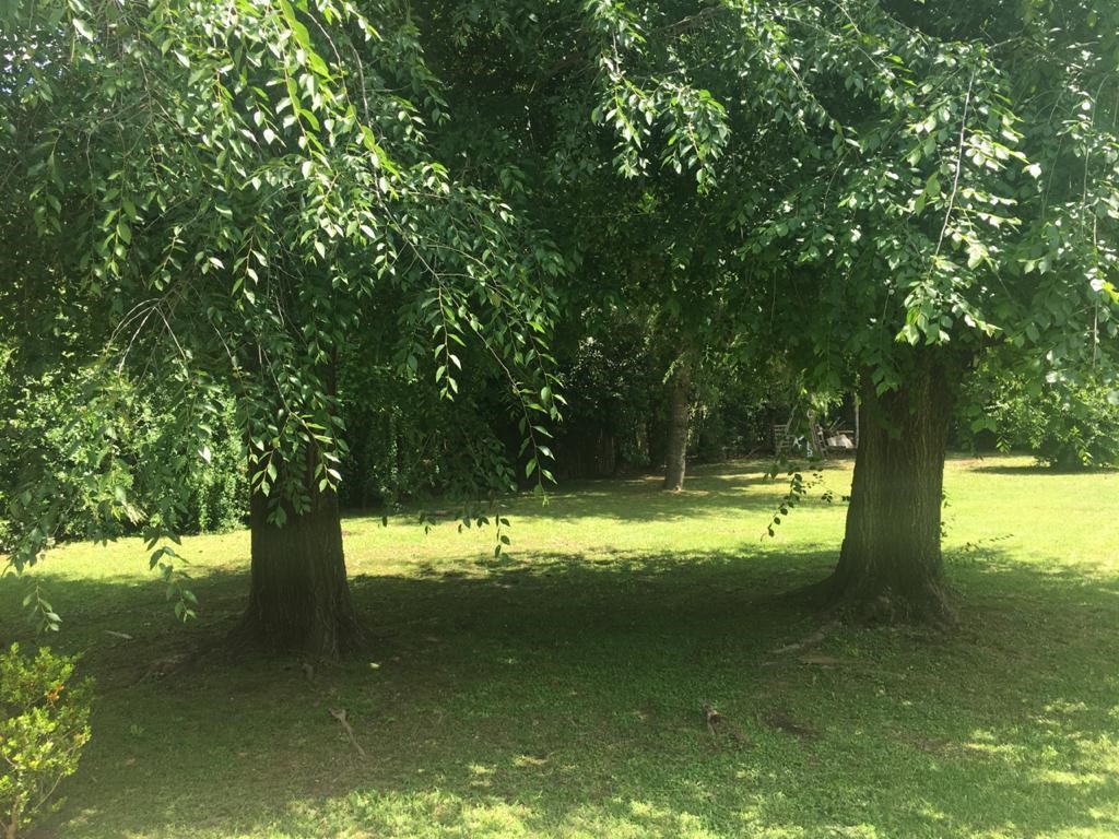 image 23