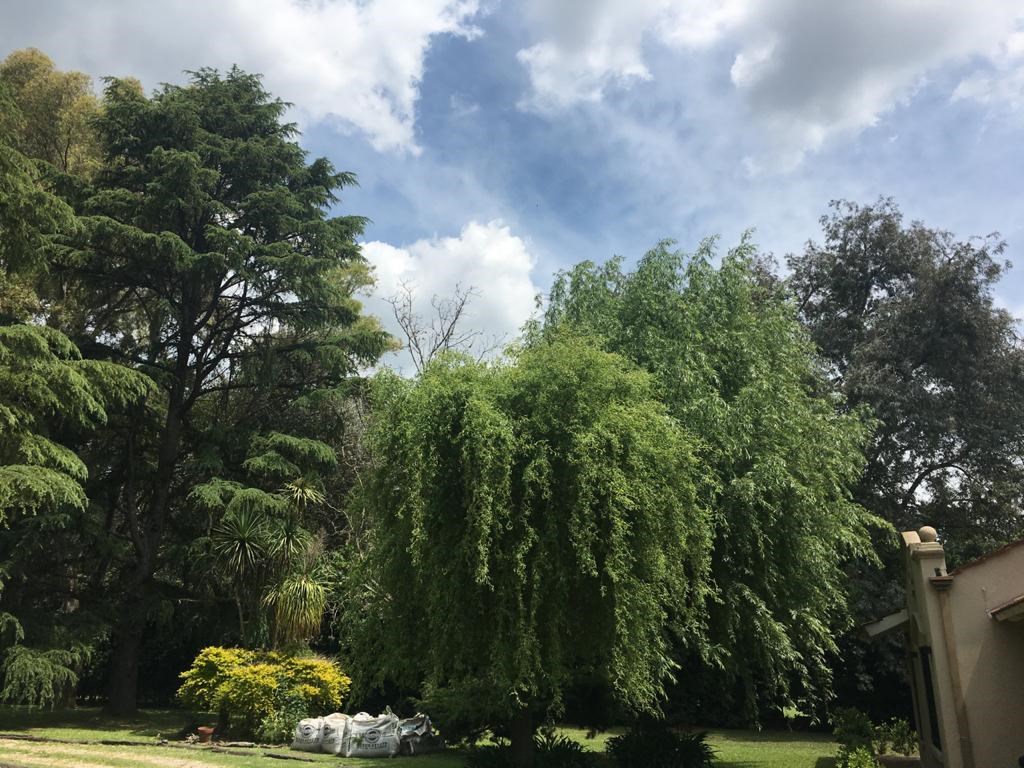 image 24