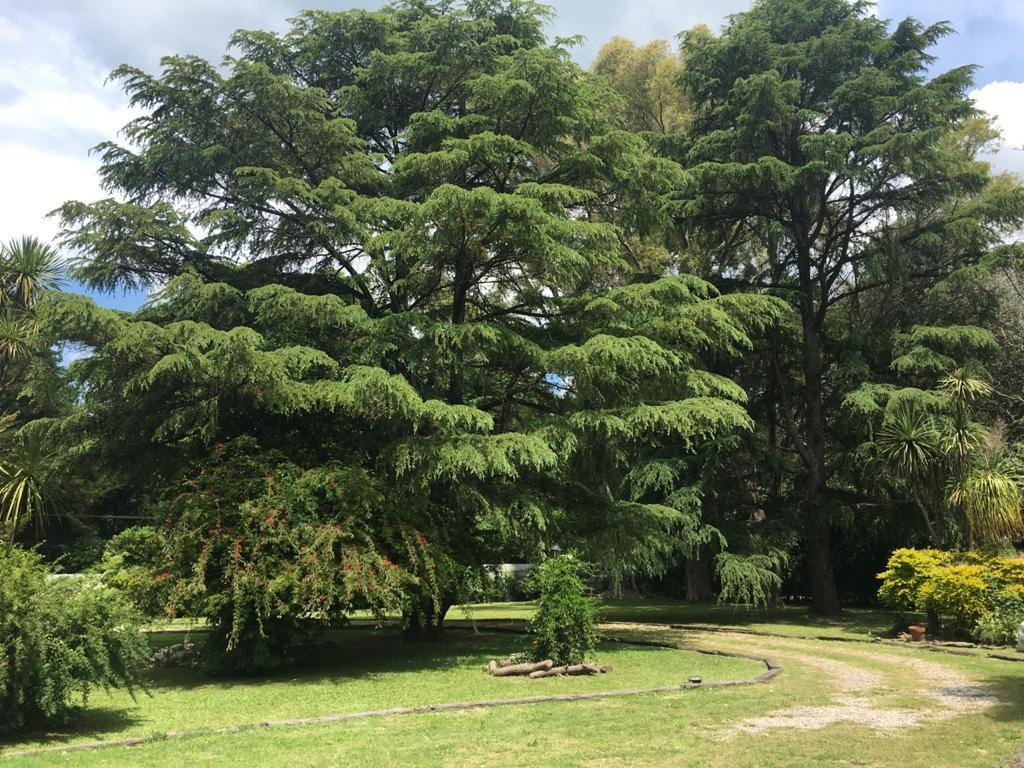 image 25