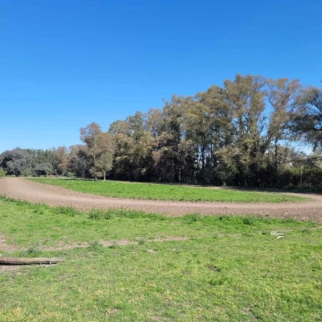 Terreno Venta en Fracción 10 Has en Pilar cerca de los mejores Clubes de Polo