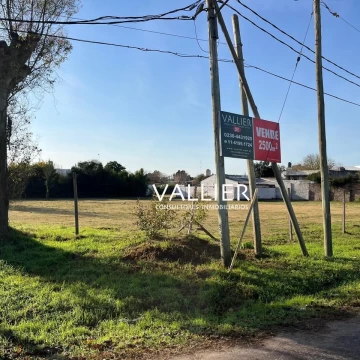 Terreno Venta en TERRENO VALENTIN GOMEZ