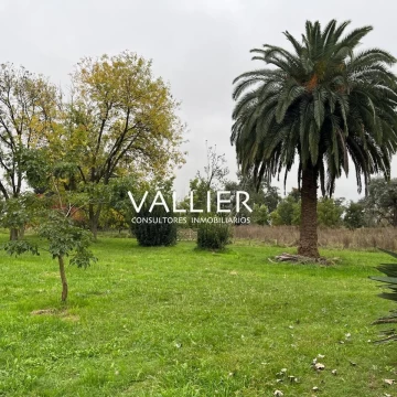 Terreno Venta en 70 has Torres Exaltación de la Cruz